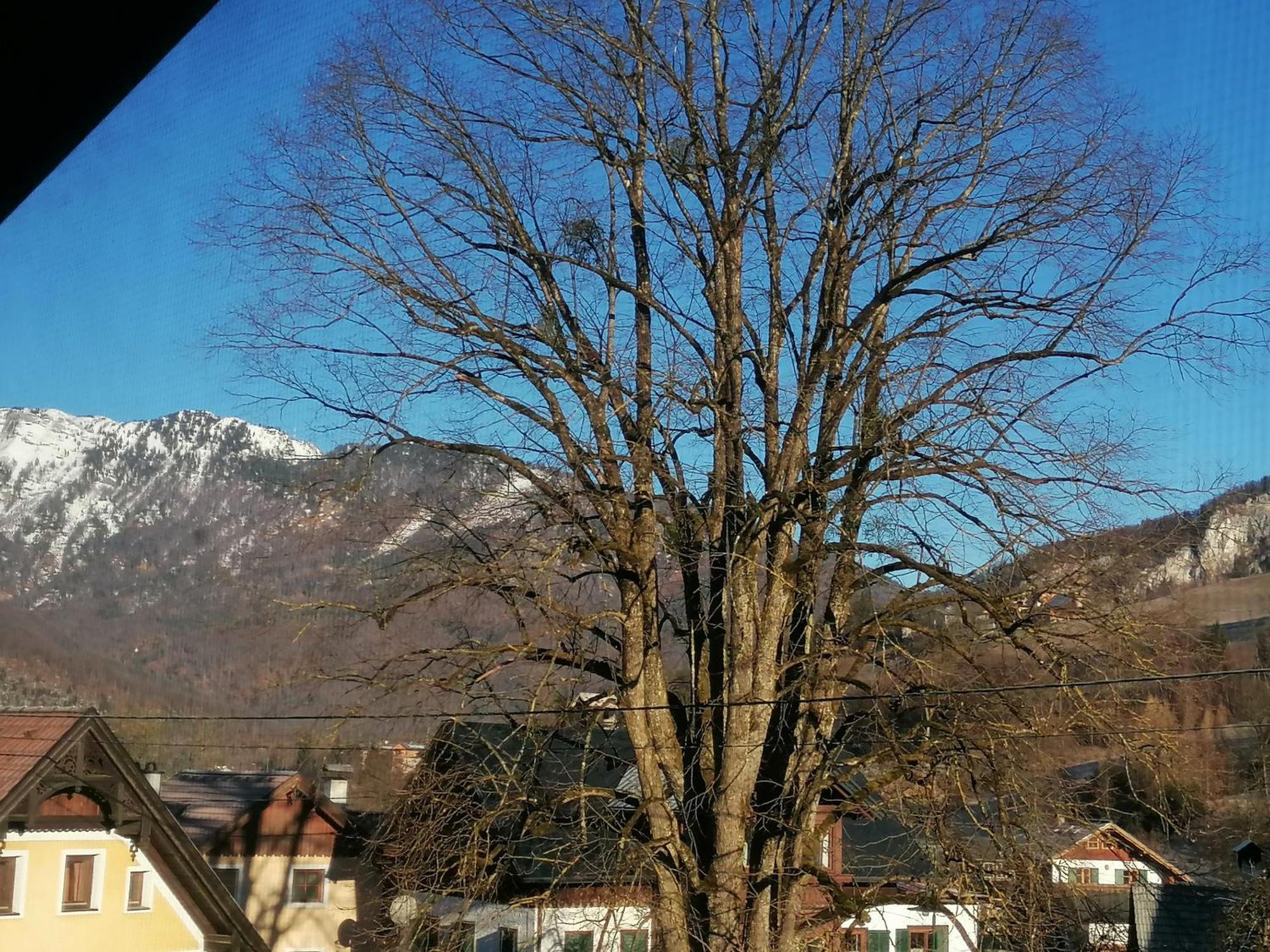 Alpenblumal Apartment Bad Goisern Exterior foto