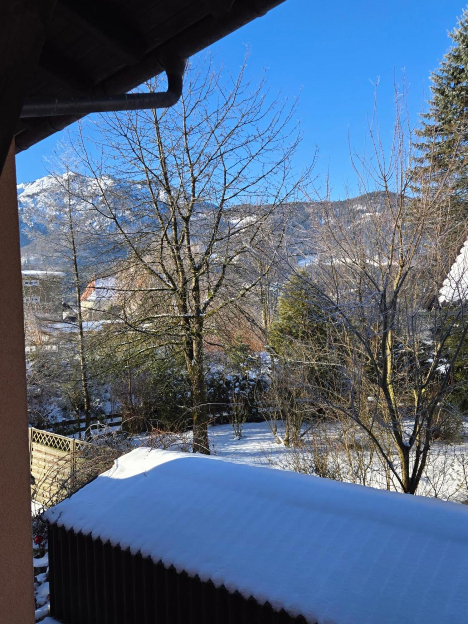Alpenblumal Apartment Bad Goisern Exterior foto